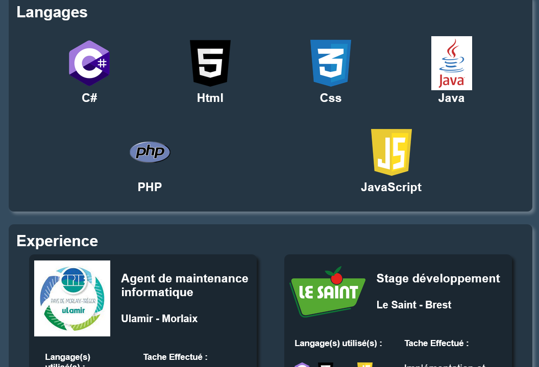 Image Portfolio (site actuel).